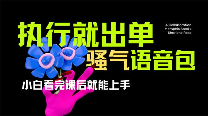 爆火全网的开车导航骚气语音包,只要执行就出单，小白看完课程就能实操…-森森项目库