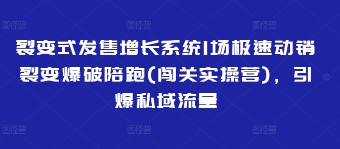 裂变式发售增长系统1场极速动销裂变爆破陪跑(闯关实操营)，引爆私域流量-森森项目库