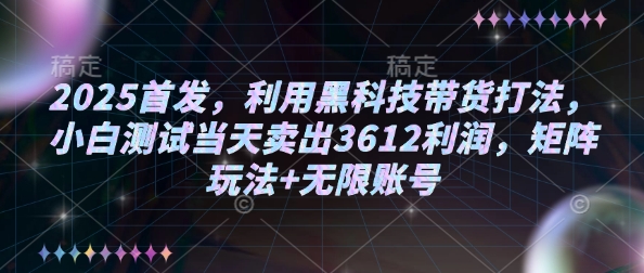 2025首发，利用黑科技带货打法，小白测试当天卖出3612利润，矩阵玩法+无限账号【揭秘】-森森项目库