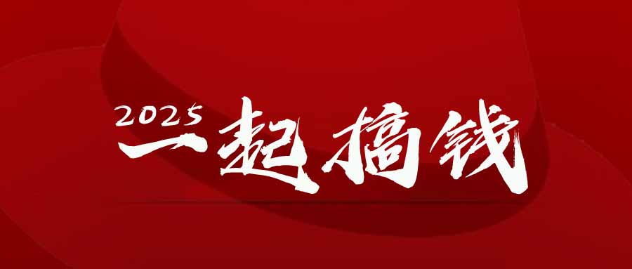 2025年，请“不择手段”去搞钱!-森森项目库