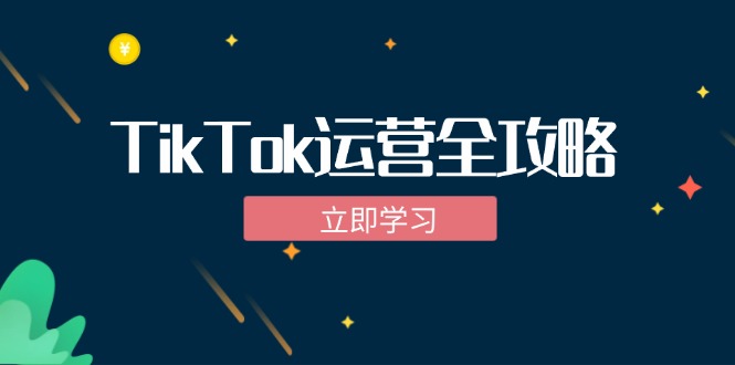 TikTok实战运营全攻略：从下载软件到变现，抖音海外版实操教程-森森项目库
